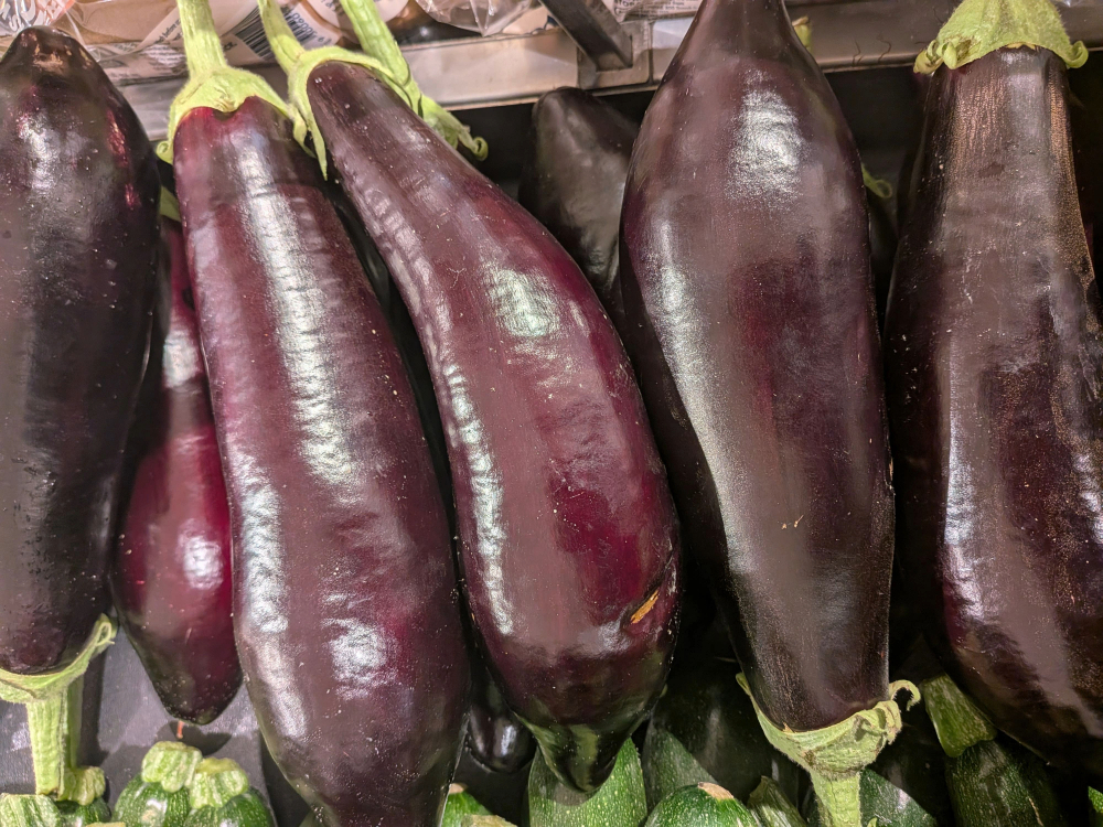 Albion Metalosate Eggplant Trial