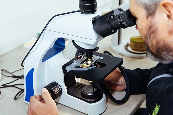 Man looking into a microscope